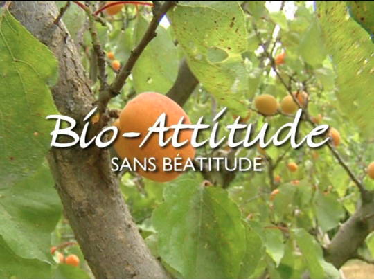 bio_attitude-a9f4a.jpg